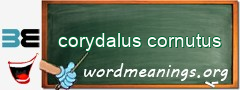 WordMeaning blackboard for corydalus cornutus